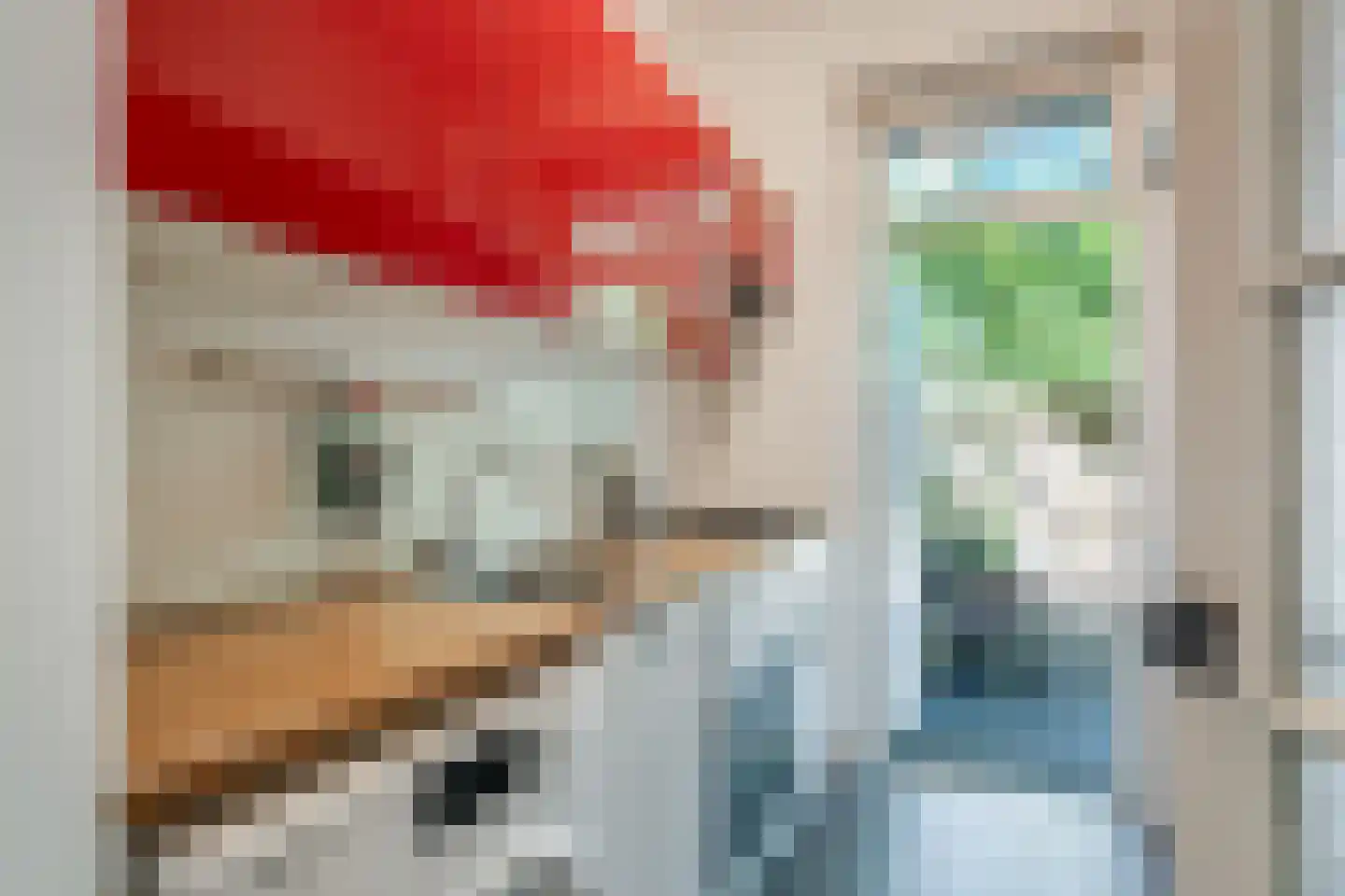 Wassenberghstraat 9 1 Groningen thumbnail 26