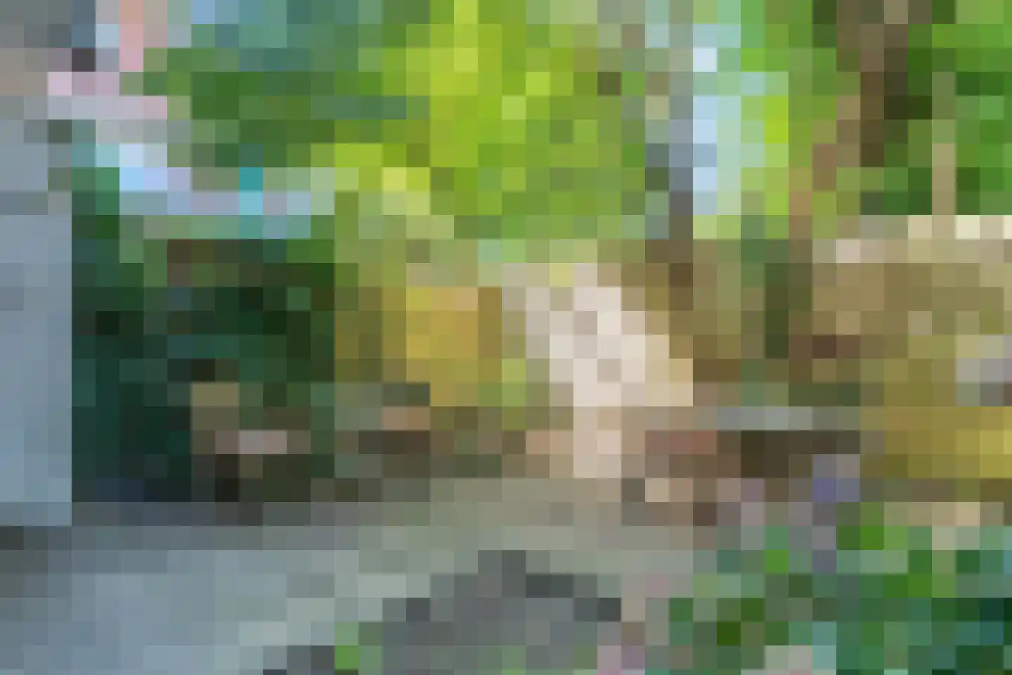 Wassenberghstraat 9 1 Groningen thumbnail 30