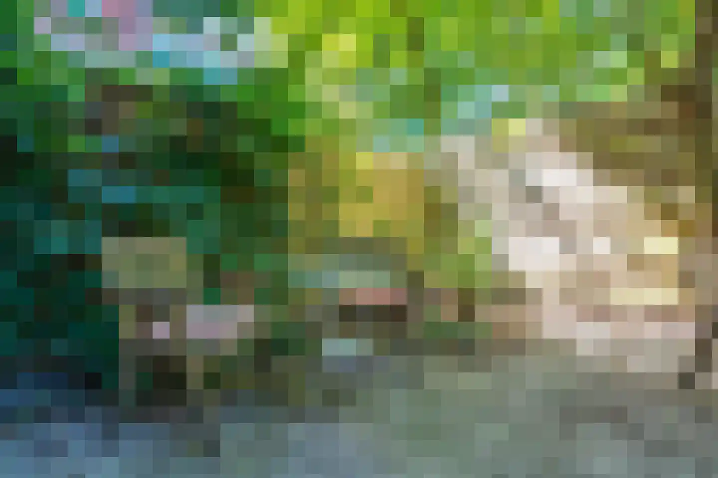 Wassenberghstraat 9 1 Groningen thumbnail 31