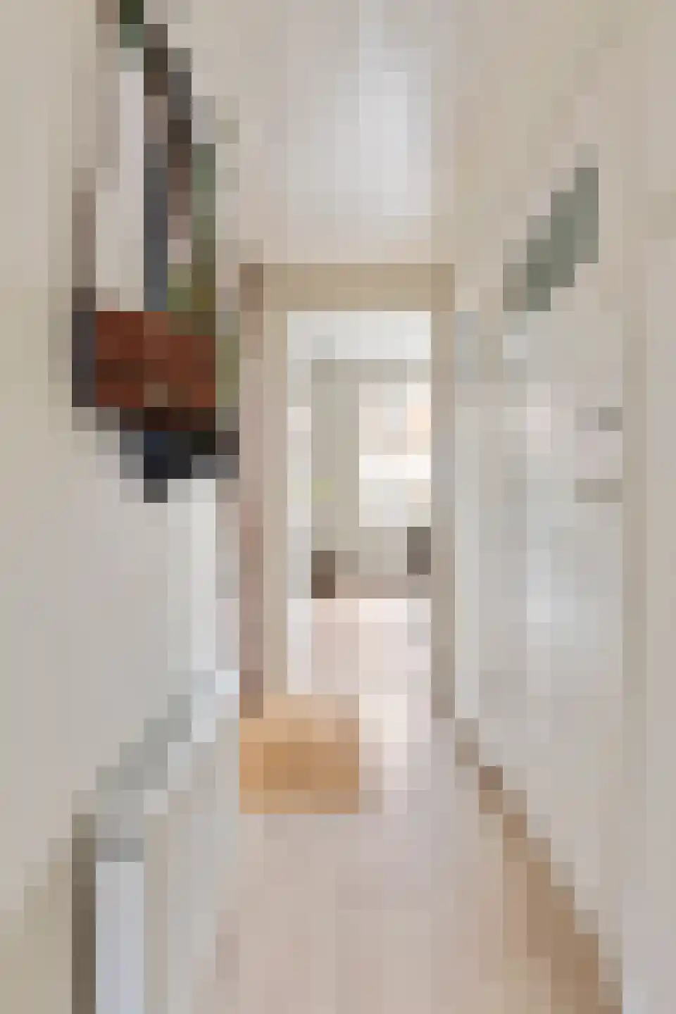 Wassenberghstraat 9 2 Groningen thumbnail 10