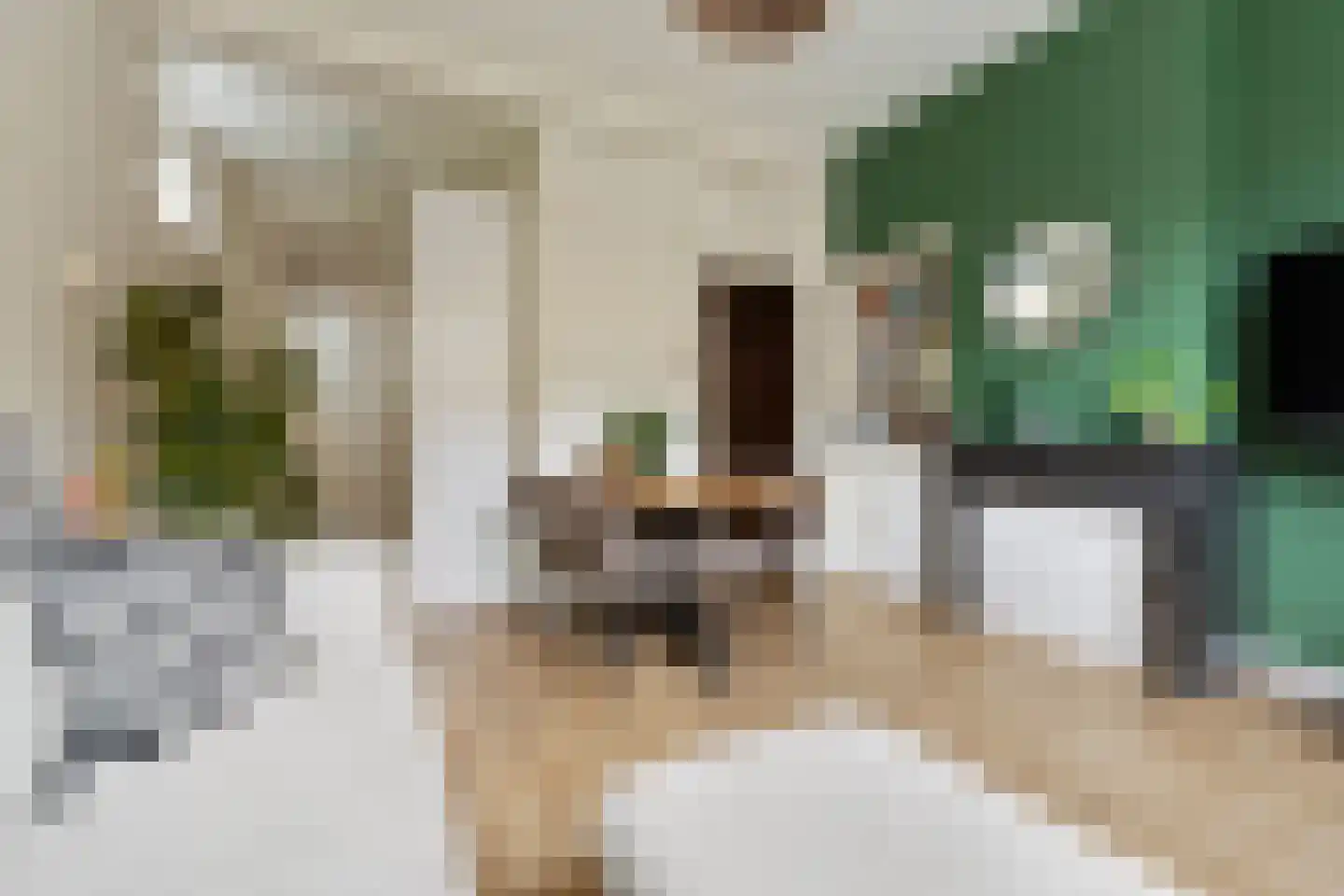 Wassenberghstraat 9 2 Groningen thumbnail 12