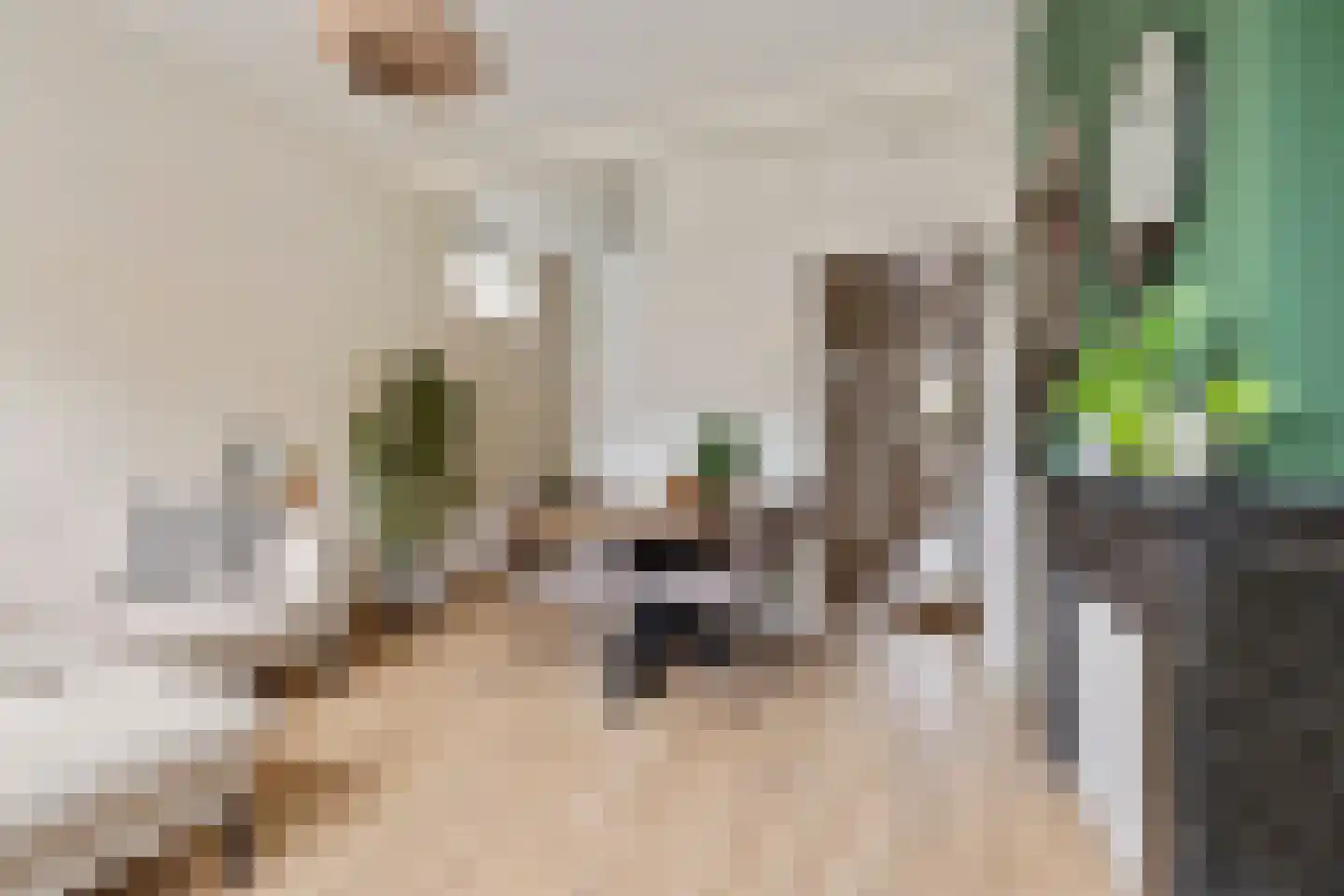 Wassenberghstraat 9 2 Groningen thumbnail 13