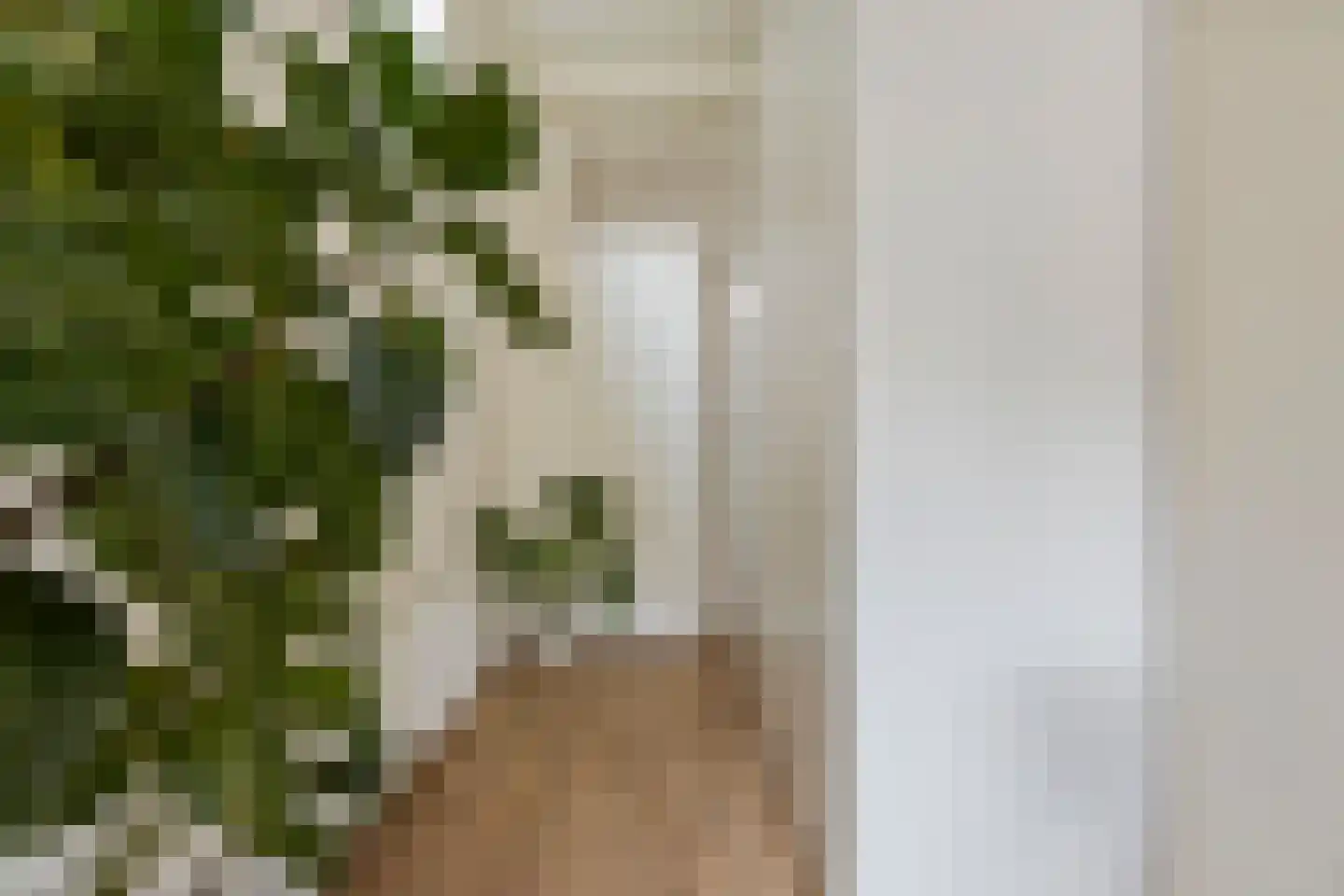 Wassenberghstraat 9 2 Groningen thumbnail 15