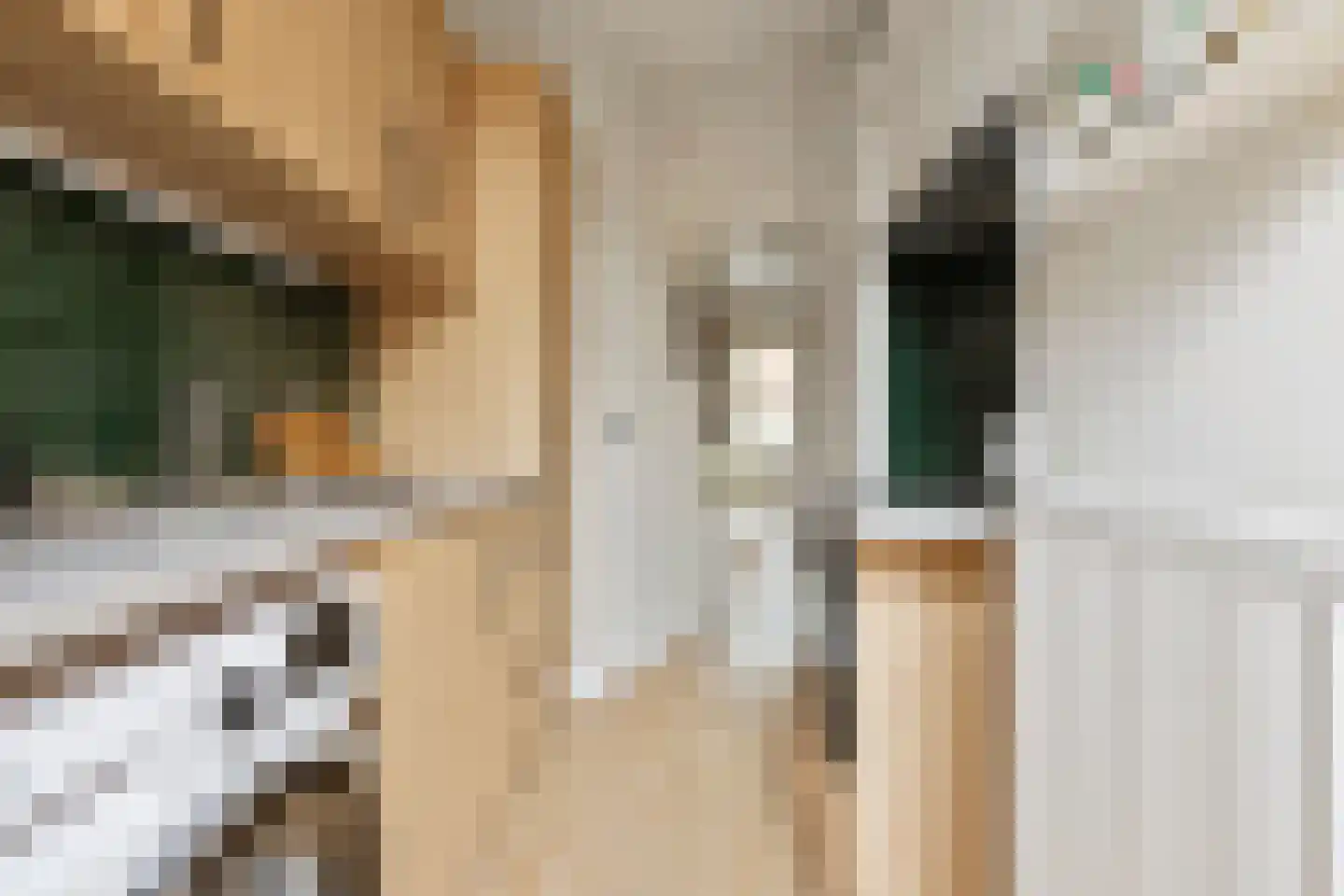 Wassenberghstraat 9 2 Groningen thumbnail 16