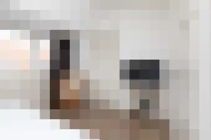 Wassenberghstraat 9 Sneek thumbnail 21