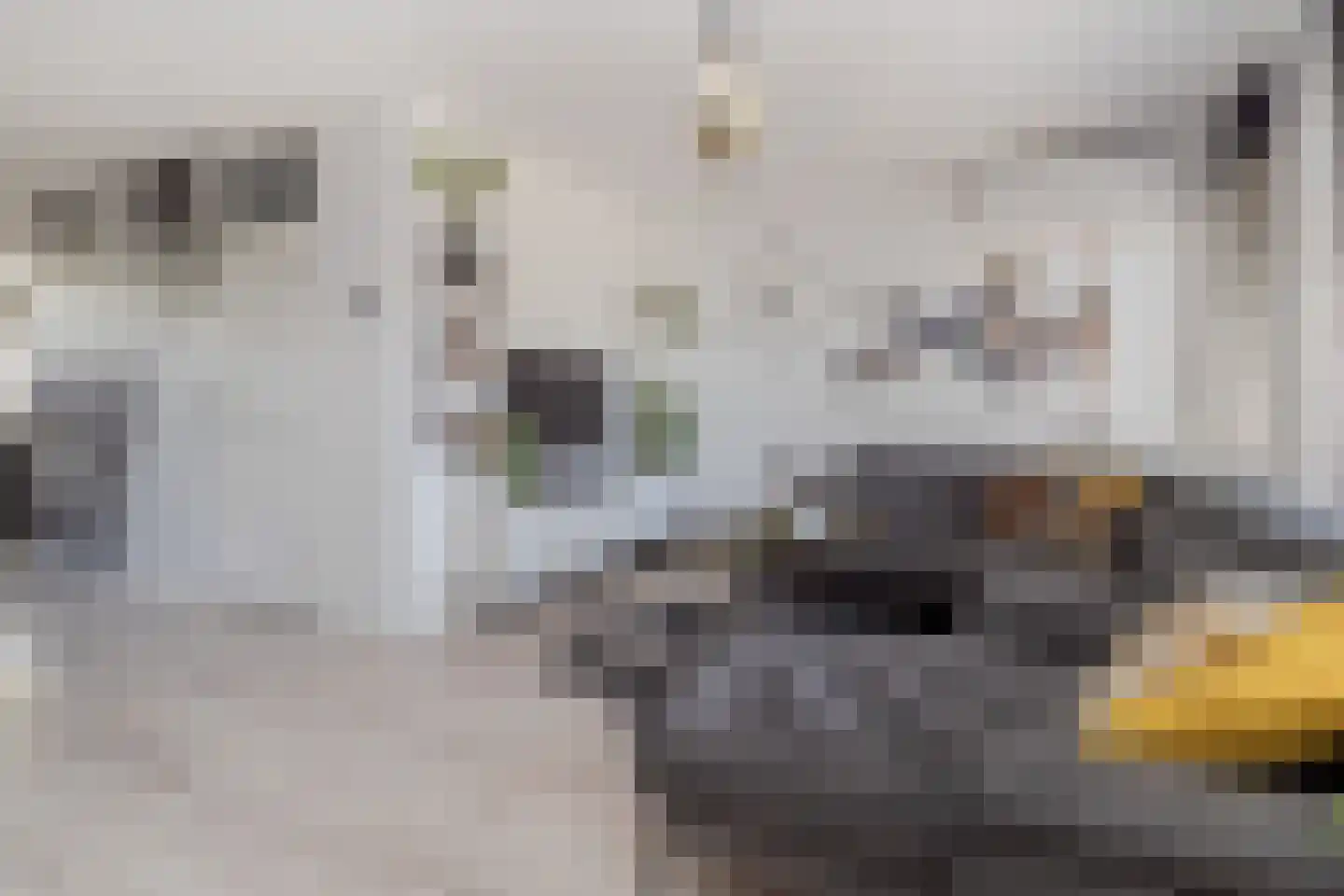 Wassenbergstraat 22 Sittard thumbnail 10