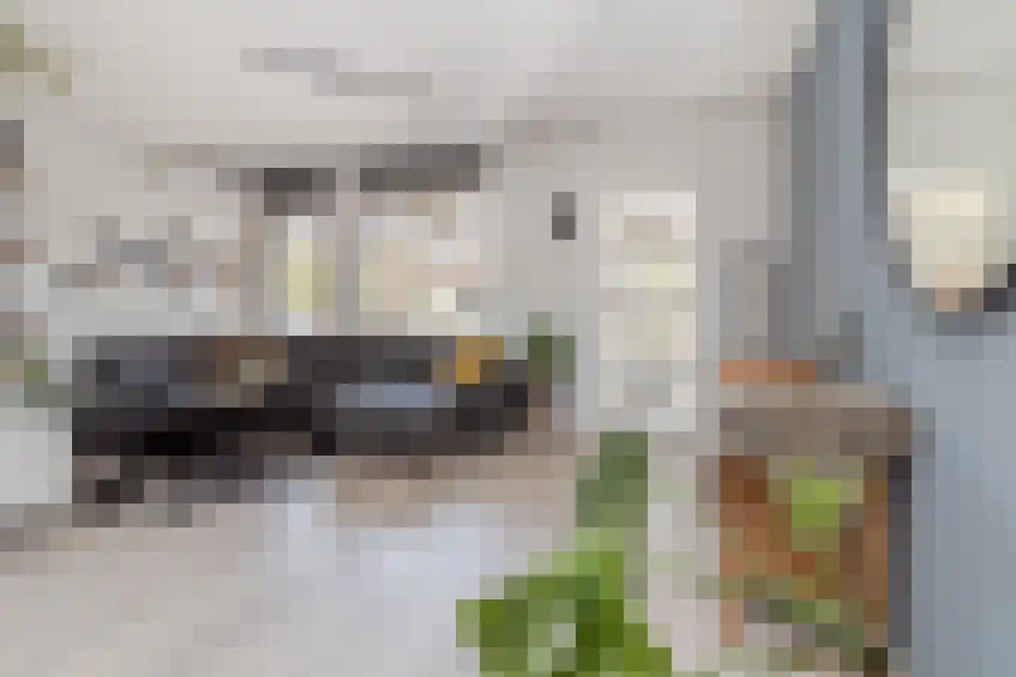 Wassenbergstraat 22 Sittard thumbnail 11