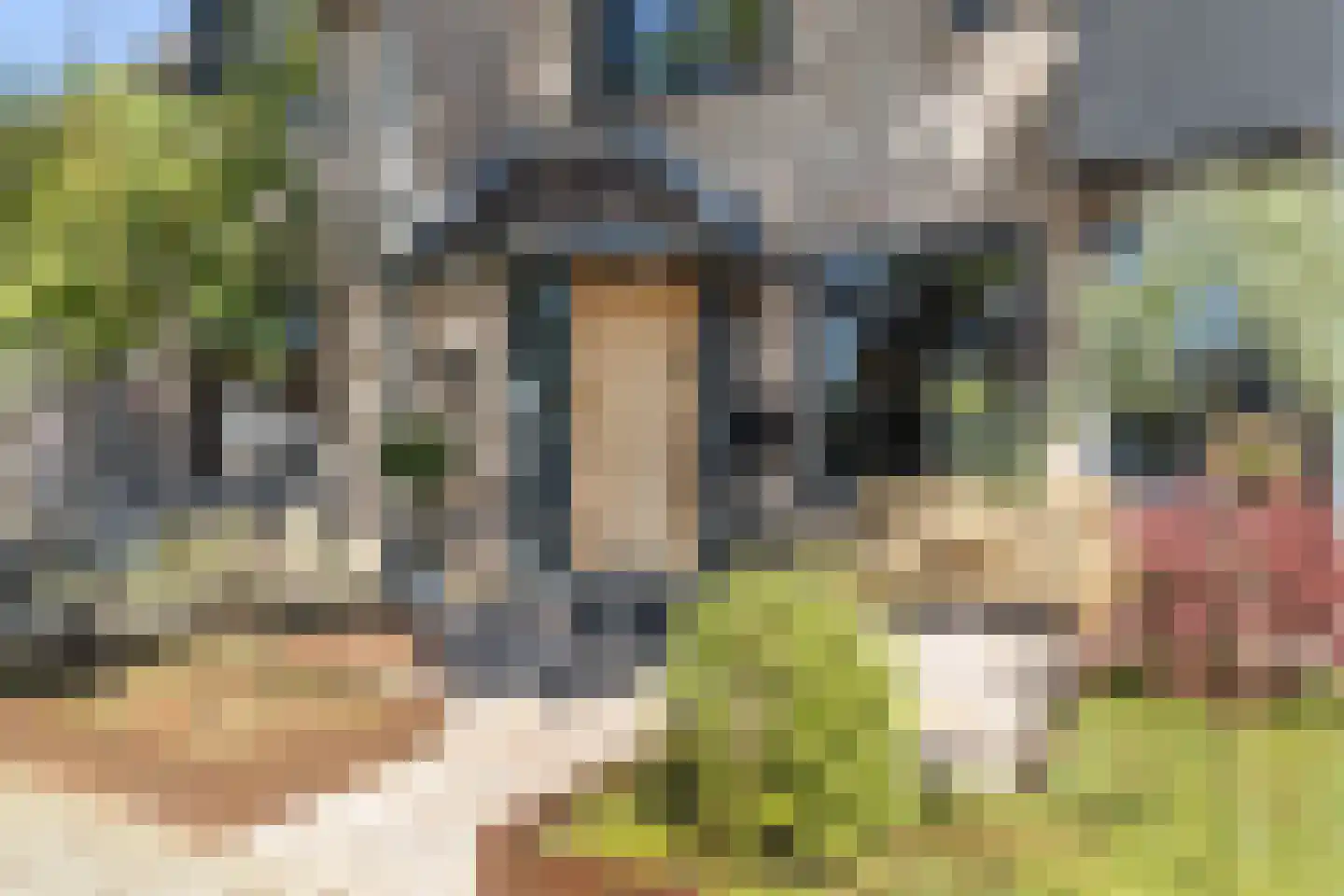 Wassenbergstraat 22 Sittard thumbnail 8