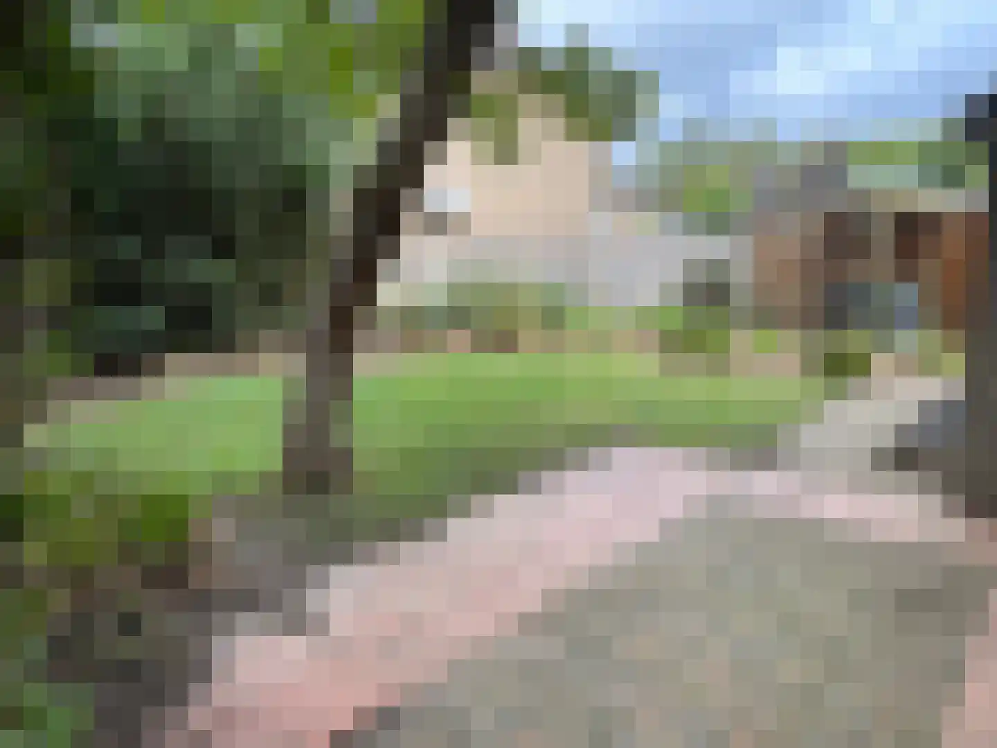 Wassenbergstraat 25 Sittard thumbnail 18