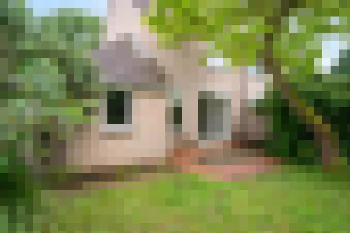 Wassenbergstraat 25 Sittard thumbnail 19