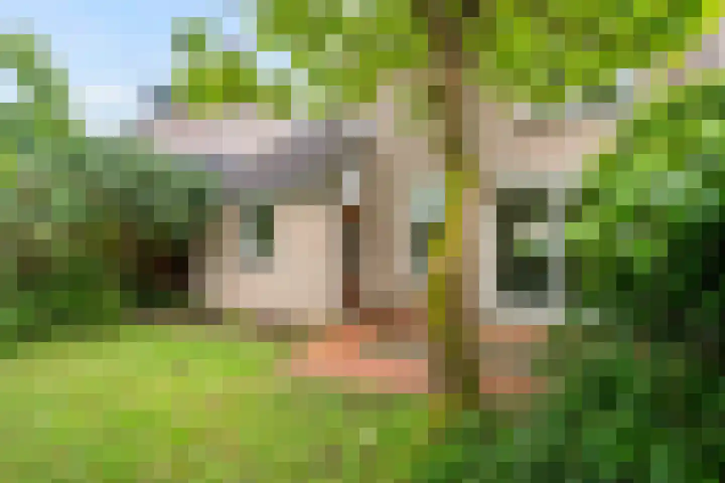 Wassenbergstraat 25 Sittard thumbnail 4