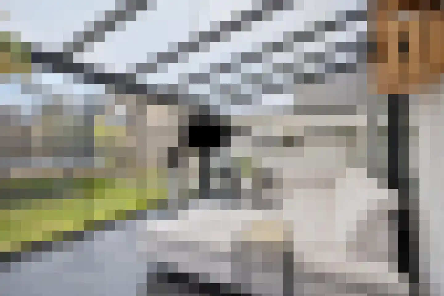 Wassenbergstraat 27 Sittard thumbnail 48