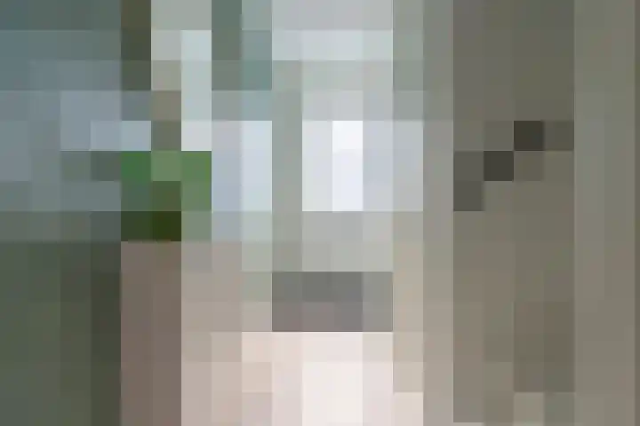 Wassende Maan 41 Oegstgeest thumbnail 12