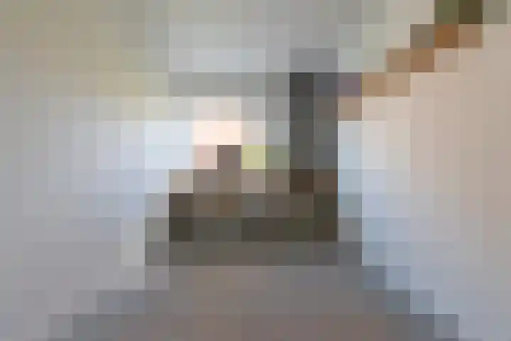 Wassende Maan 41 Oegstgeest thumbnail 16
