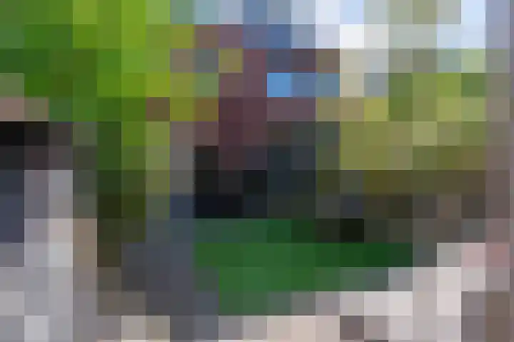 Wassende Maan 41 Oegstgeest thumbnail 31