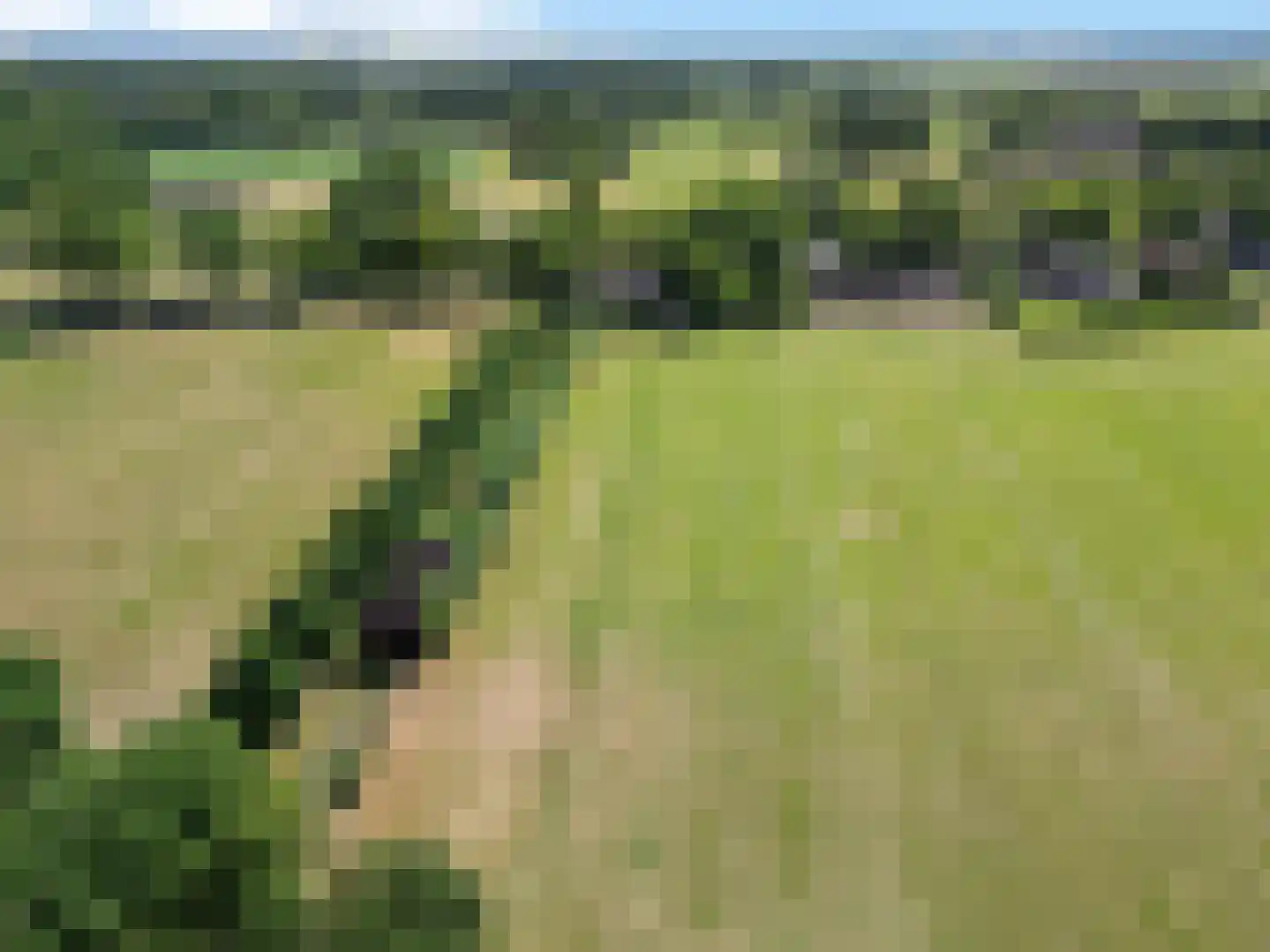 Wasser 1 Wormer thumbnail 11