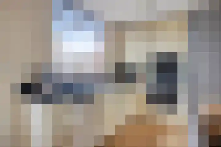 Wasser 1 Wormer thumbnail 13