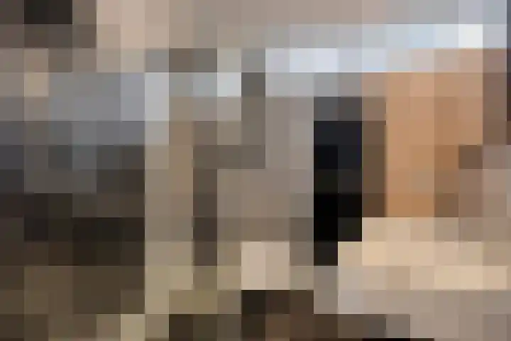 Wasser 1 Wormer foto 3