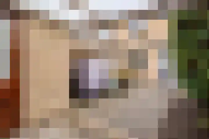 Wasser 1 Wormer thumbnail 38