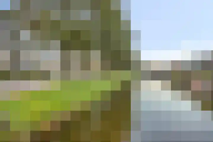 Wasser 1 Wormer thumbnail 45