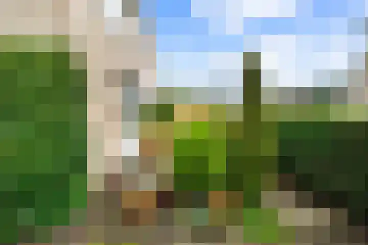 Wasserij-Annalaan 13 Heemstede thumbnail 12