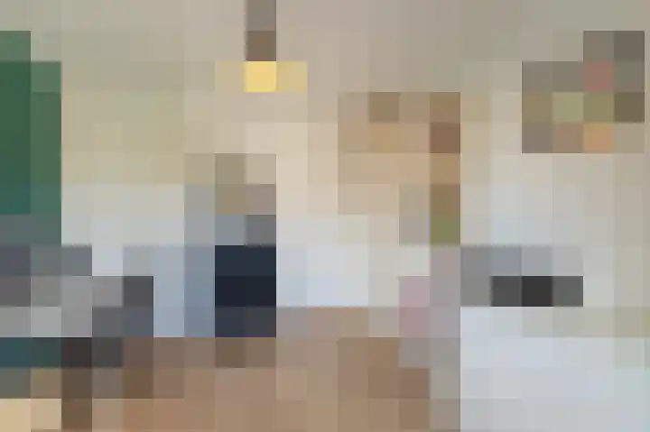 Wassevendreef 36 Ossendrecht thumbnail 20