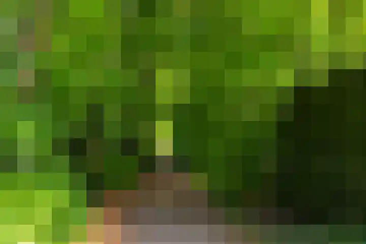 Wassevendreef 36 Ossendrecht thumbnail 33