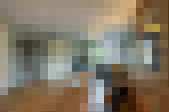 Wassevendreef 36 Ossendrecht thumbnail 8