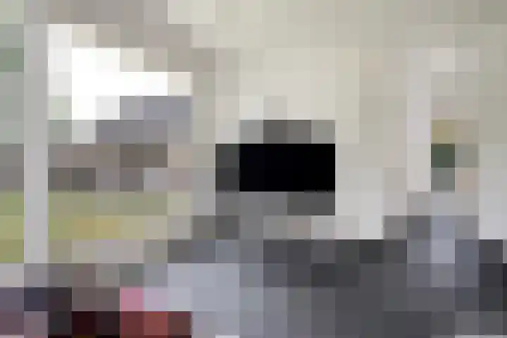 Wassevendreef 80 Ossendrecht thumbnail 19