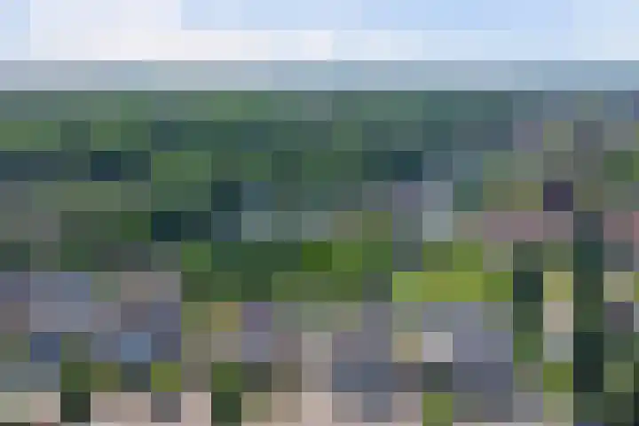 Wassevendreef 80 Ossendrecht thumbnail 30
