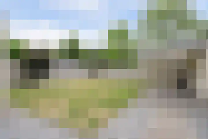 Wassevendreef 80 Ossendrecht thumbnail 36