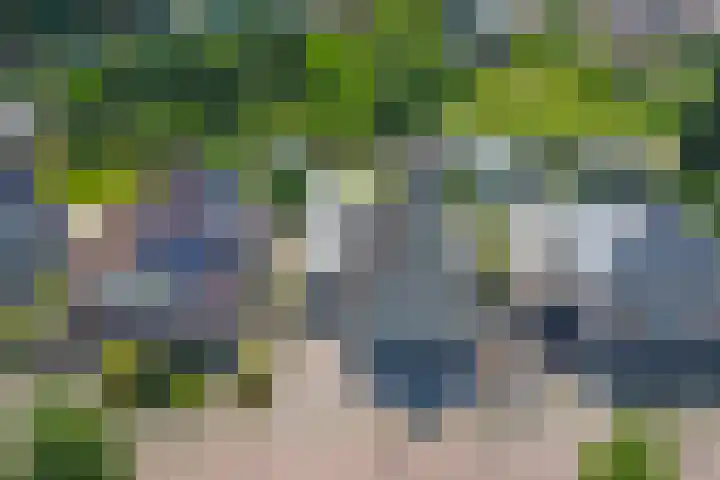 Wassevendreef 80 Ossendrecht thumbnail 39