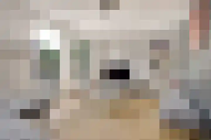 Wassevendreef 80 Ossendrecht thumbnail 8