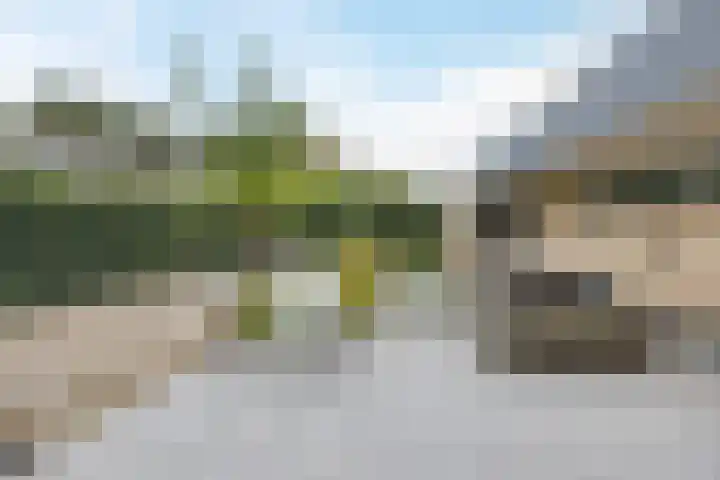 Wassevendreef 86 Ossendrecht thumbnail 53