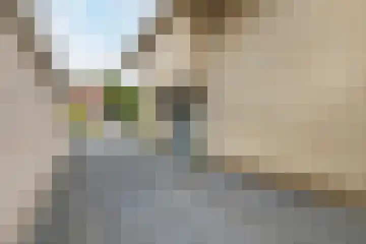 Wassevendreef 86 Ossendrecht thumbnail 65