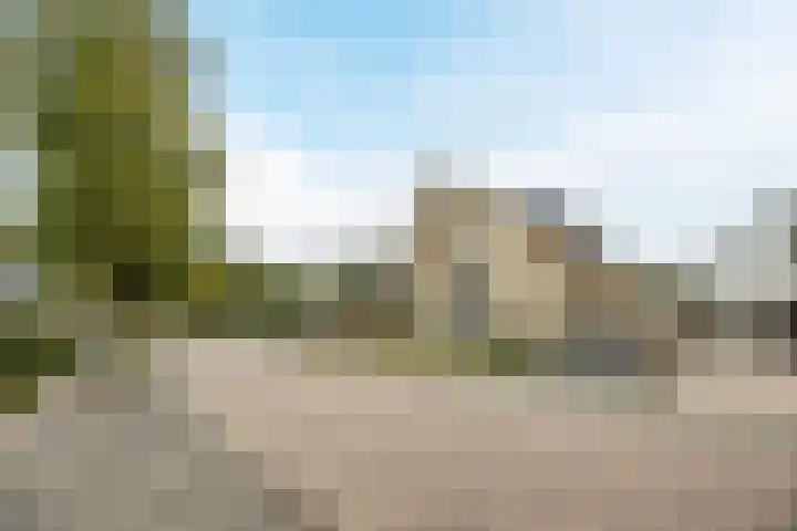 Wassevendreef 86 Ossendrecht thumbnail 66