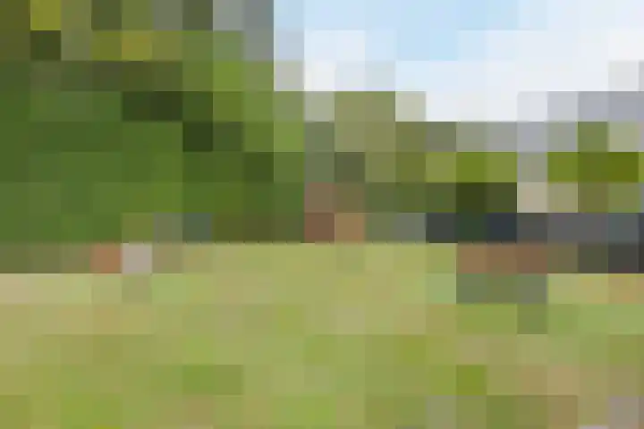 Wassevendreef 86 Ossendrecht thumbnail 68