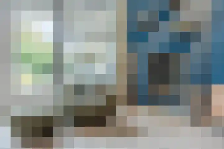 Wassevendreef 86 Ossendrecht thumbnail 7