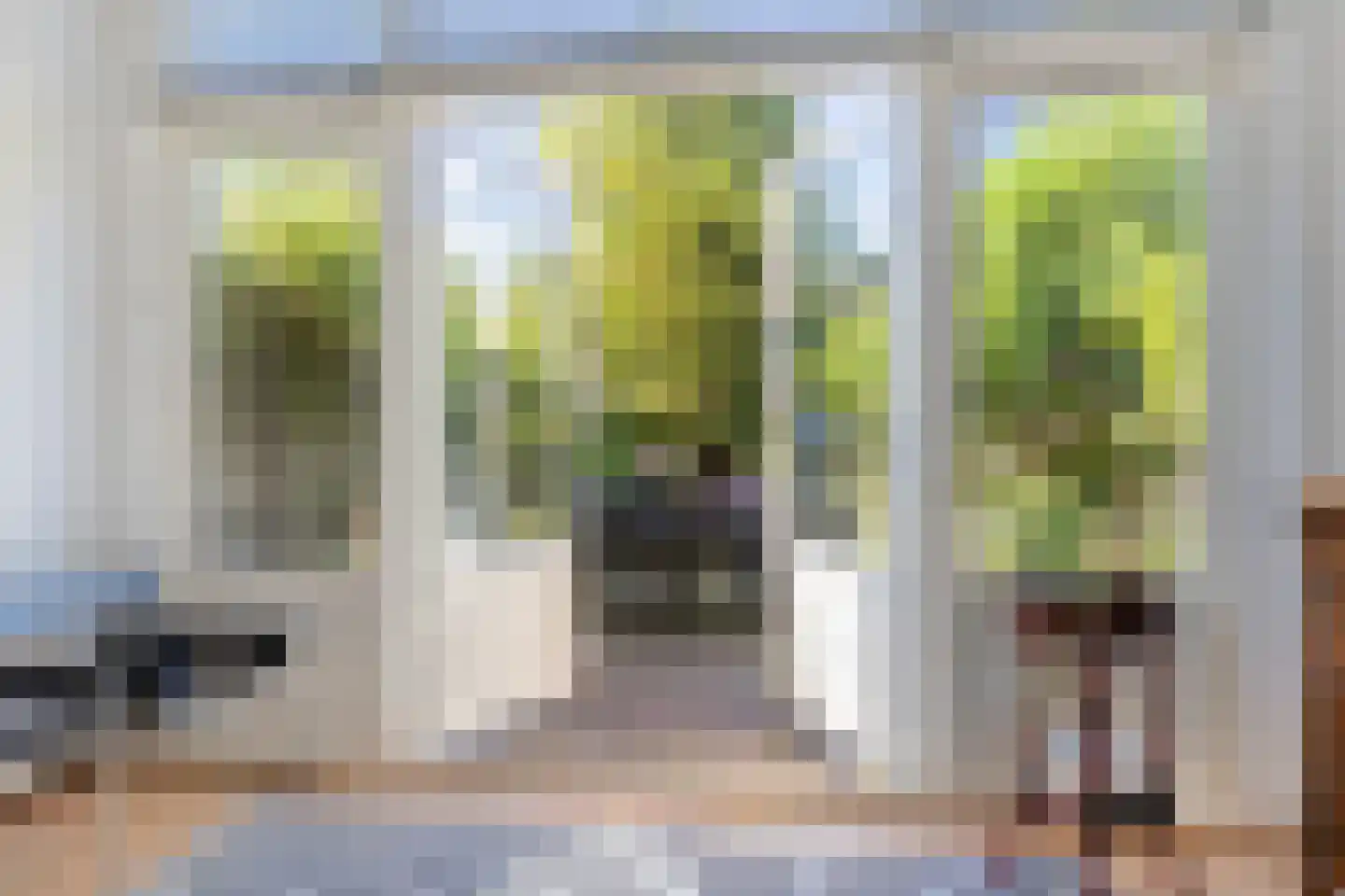 Wasstraat 31 Leiden thumbnail 13