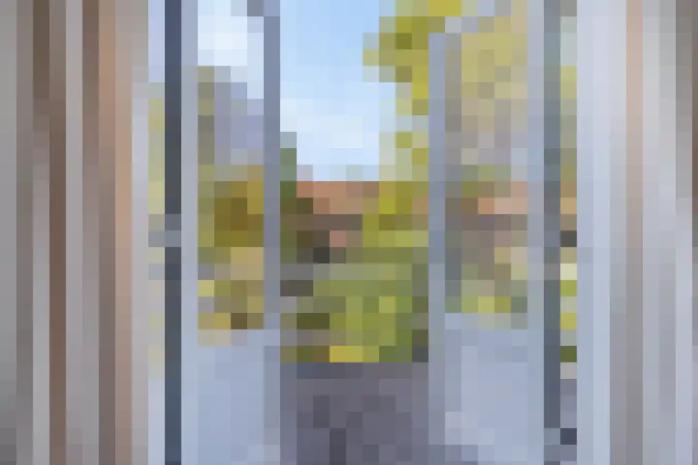 Wasstraat 31 Leiden thumbnail 28