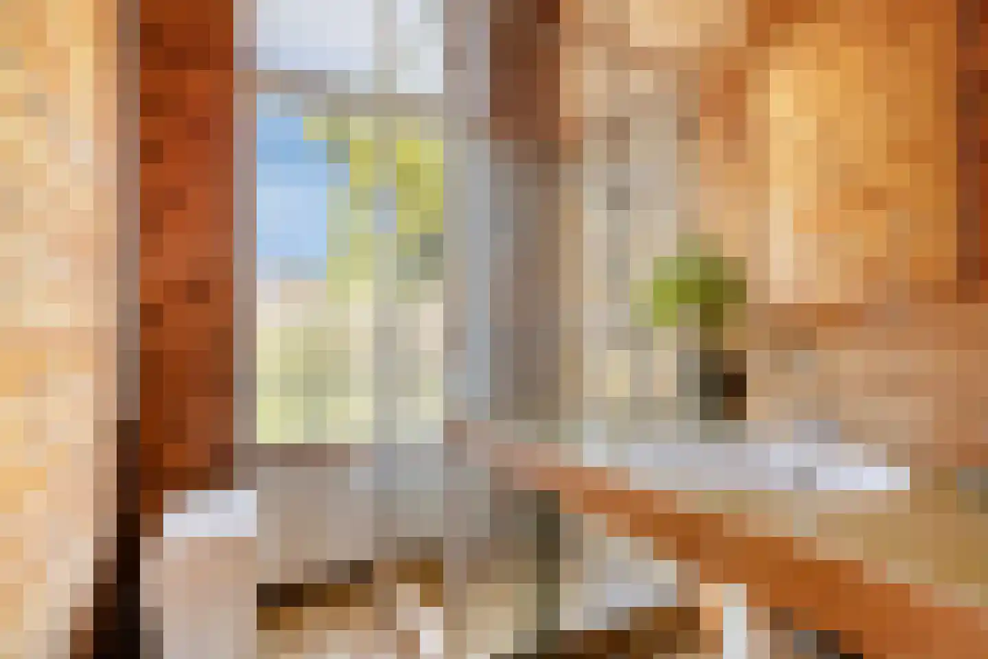 Wasstraat 31 Leiden thumbnail 32