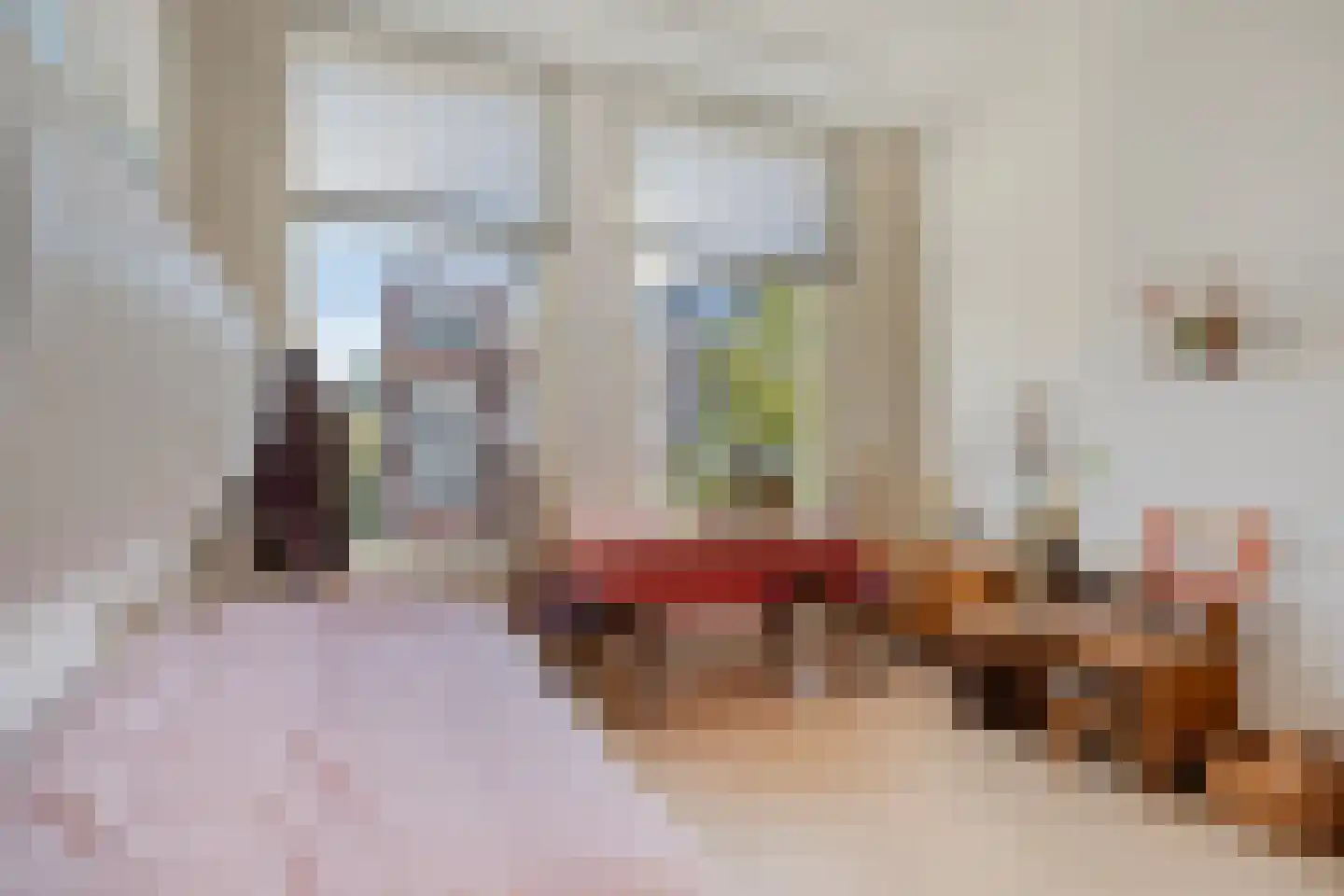 Wasstraat 31 Leiden thumbnail 33