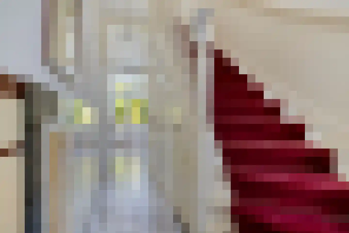 Wasstraat 31 Leiden thumbnail 7