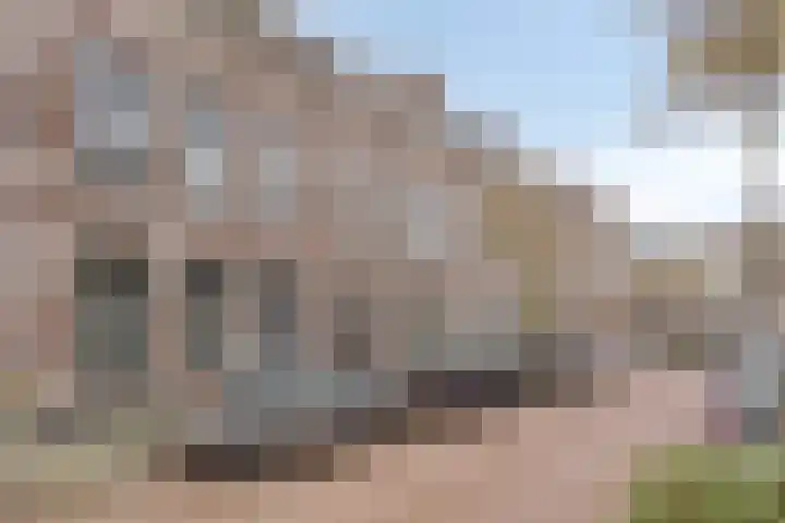 Wasstraat 33 Leiden thumbnail 48