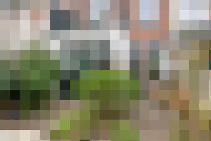 Wasstraat 34 Leiden thumbnail 38
