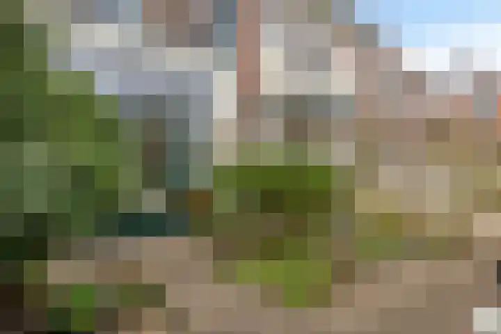 Wasstraat 34 Leiden thumbnail 42