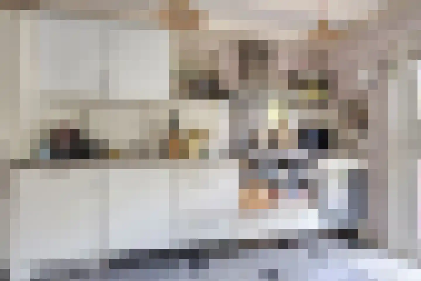 Wasstraat 57 Leiden thumbnail 13