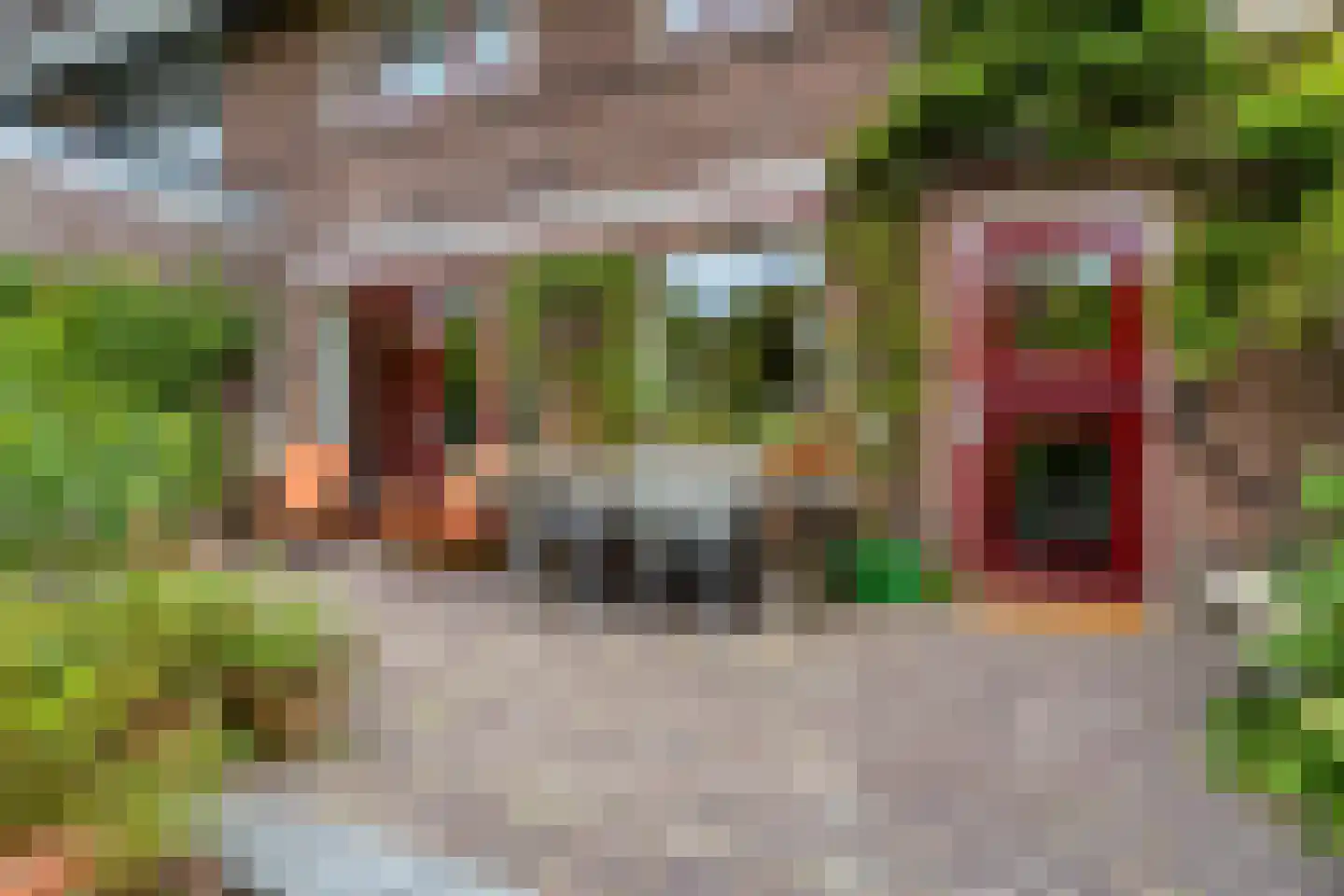 Wasstraat 57 Leiden thumbnail 19