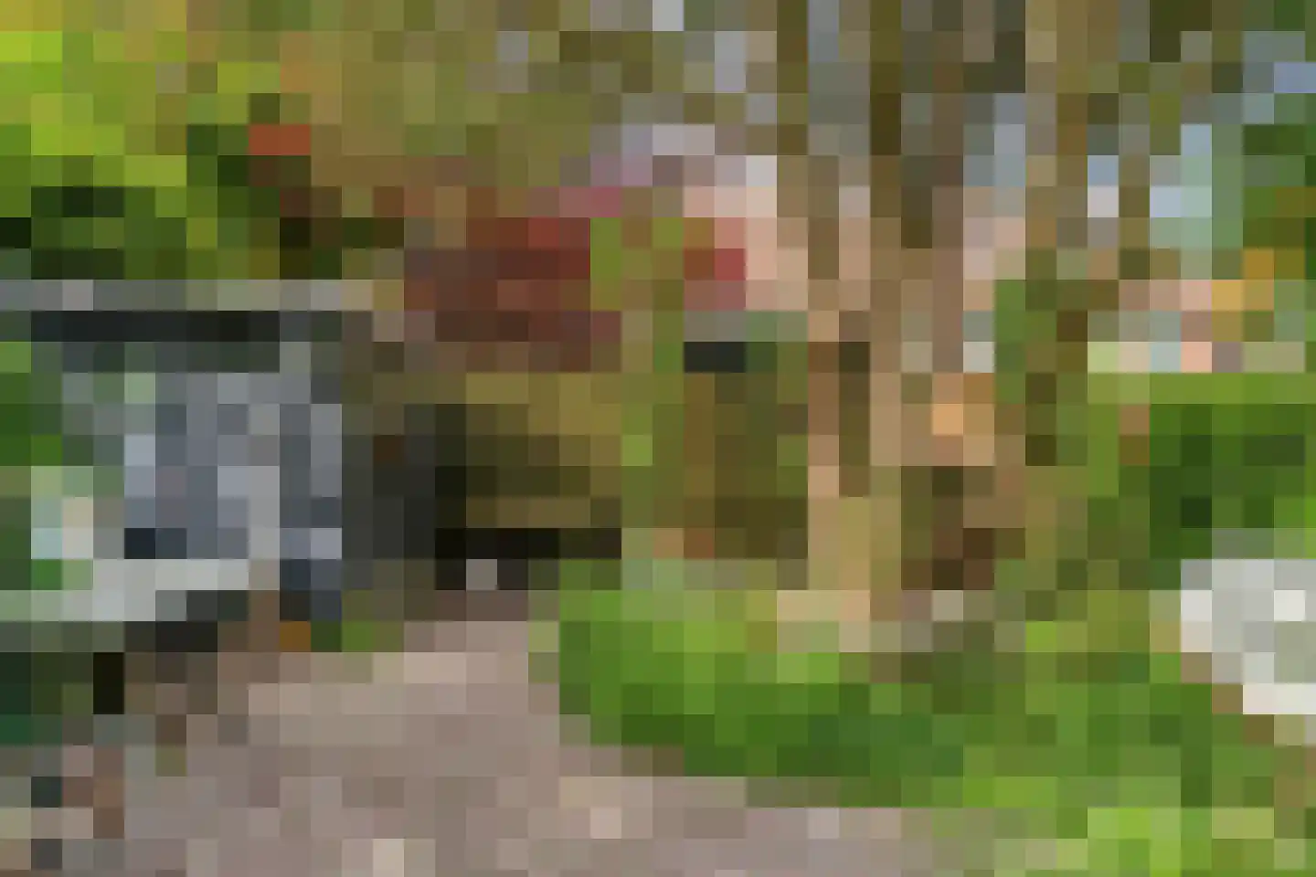 Wasstraat 57 Leiden thumbnail 23
