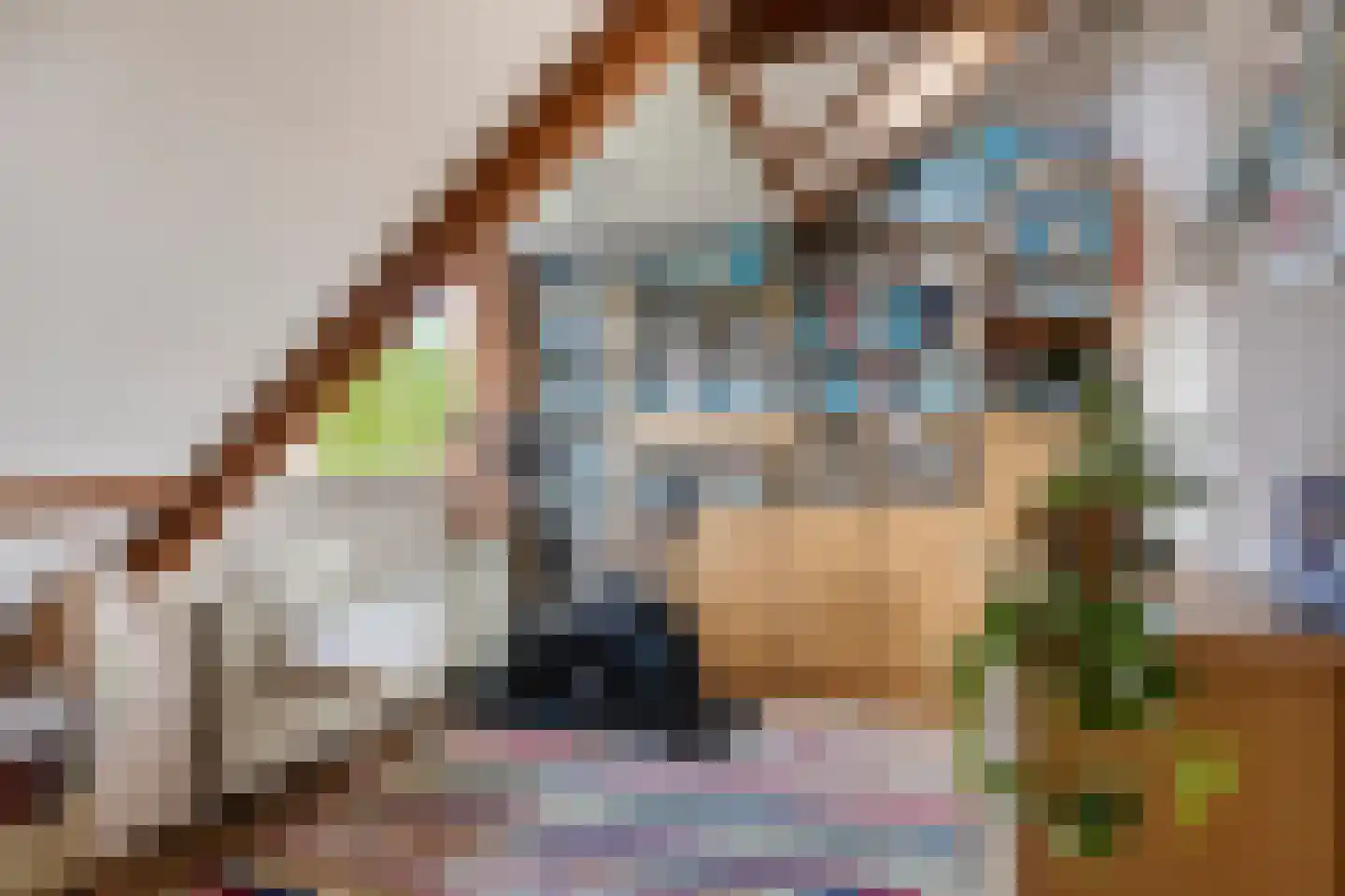 Wasstraat 57 Leiden thumbnail 43
